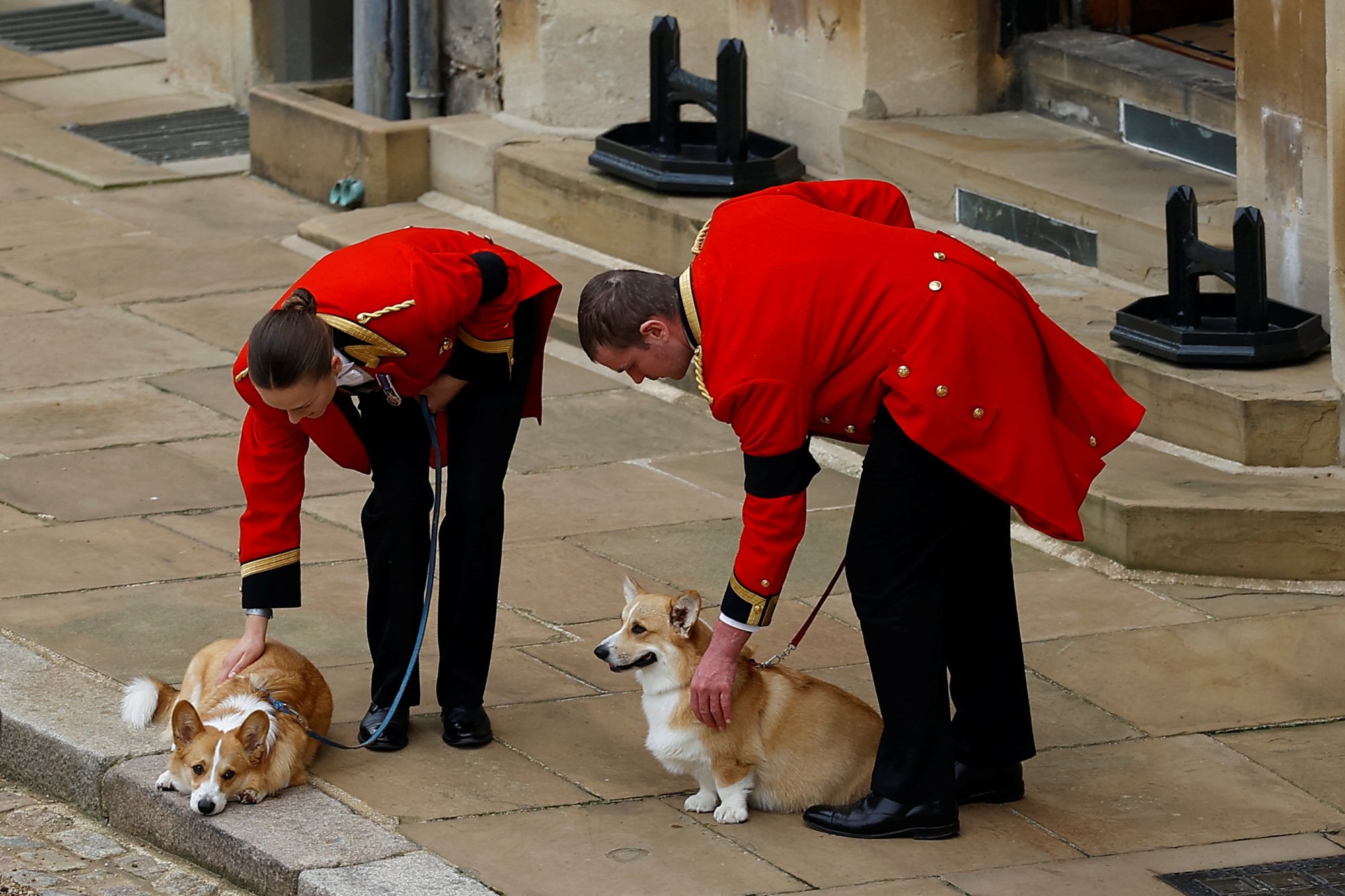 Two members of staff pet the royal corgis outside of Windsor Castle.