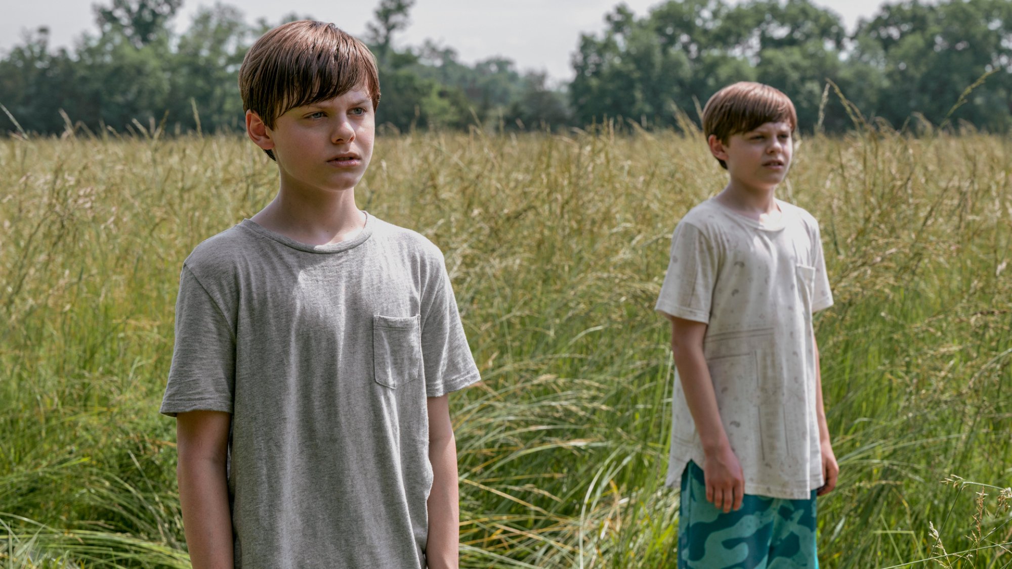 Twin boys stand in a field.