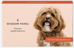 wisdom panel premium dog dna test kit box 