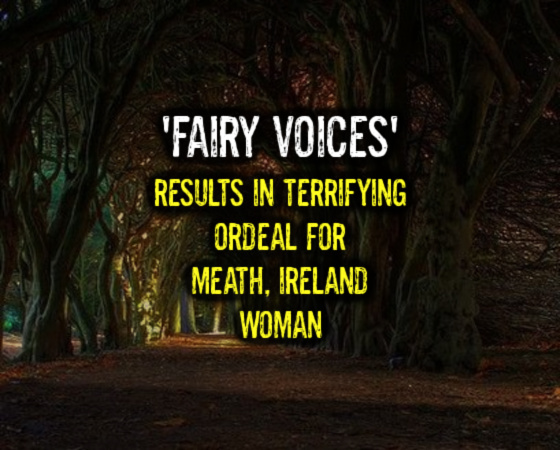 ‘Fairy Voices’ Results in Terrifying Ordeal For Meath, Ireland Woman