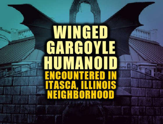 ‘Winged Gargoyle Humanoid’ Encountered in Itasca, Illinois Neighborhood