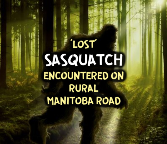‘Lost’ Sasquatch Encountered on Rural Manitoba Road