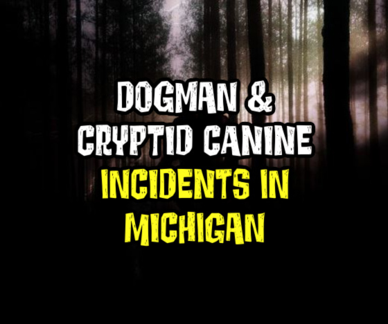 Dogman & Cryptid Canine Incidents in Michigan