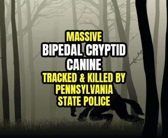 Massive ‘Bipedal Cryptid Canine’ Tracked & Killed by Pennsylvania State Police