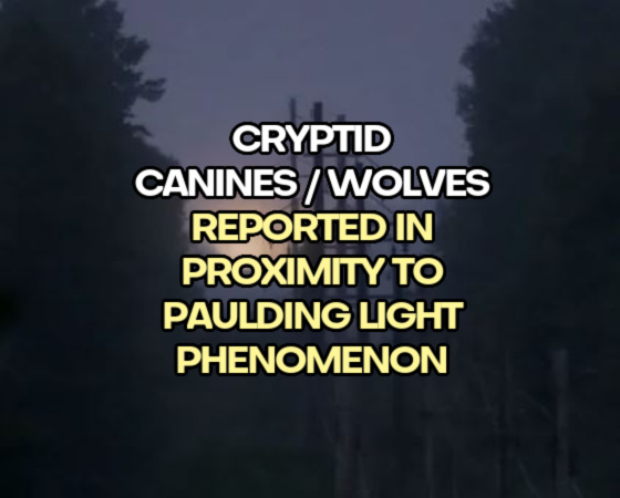 Cryptid Canines / Wolves Reported in Proximity to the Paulding Light Phenomenon