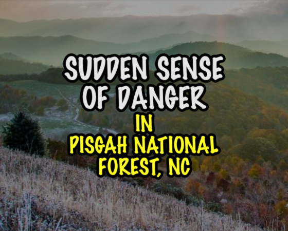Sudden Sense of Danger in Pisgah National Forest, NC