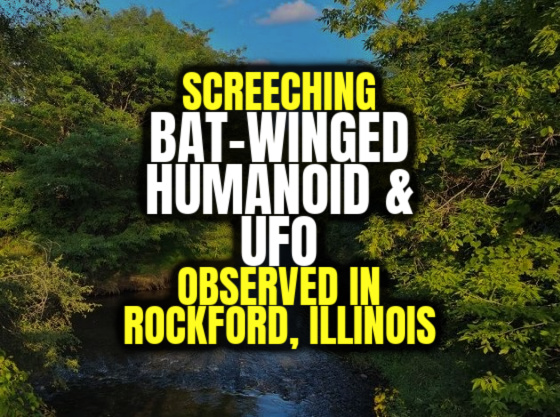 Screeching Bat-Winged Humanoid & UFO Observed in Rockford, Illinois