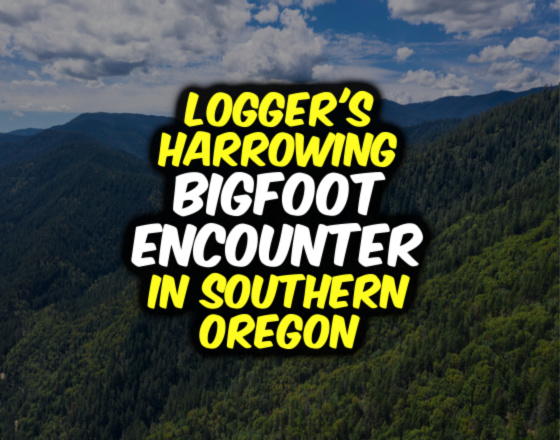 Logger’s Harrowing Bigfoot Encounter in Southern Oregon