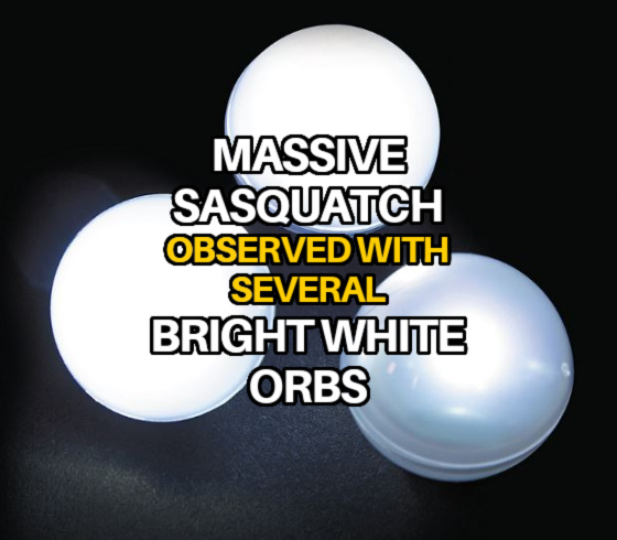 Massive Sasquatch Observed With Several Bright White Orbs in British Columbia