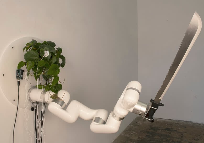 Thanks to modern science and one artist’s vision, plants can now wield swords