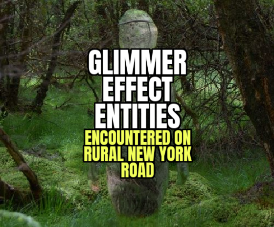 ‘GLIMMER EFFECT’ ENTITIES Encountered on Rural New York State Road