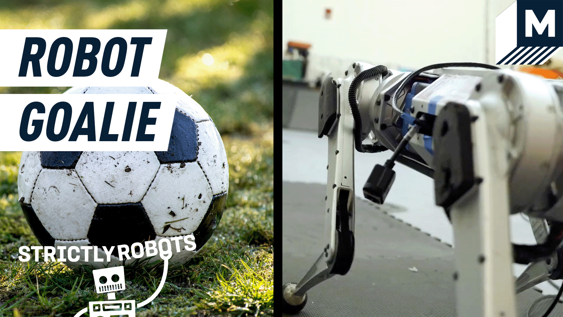 A Mini Cheetah robot is now learning to play soccer