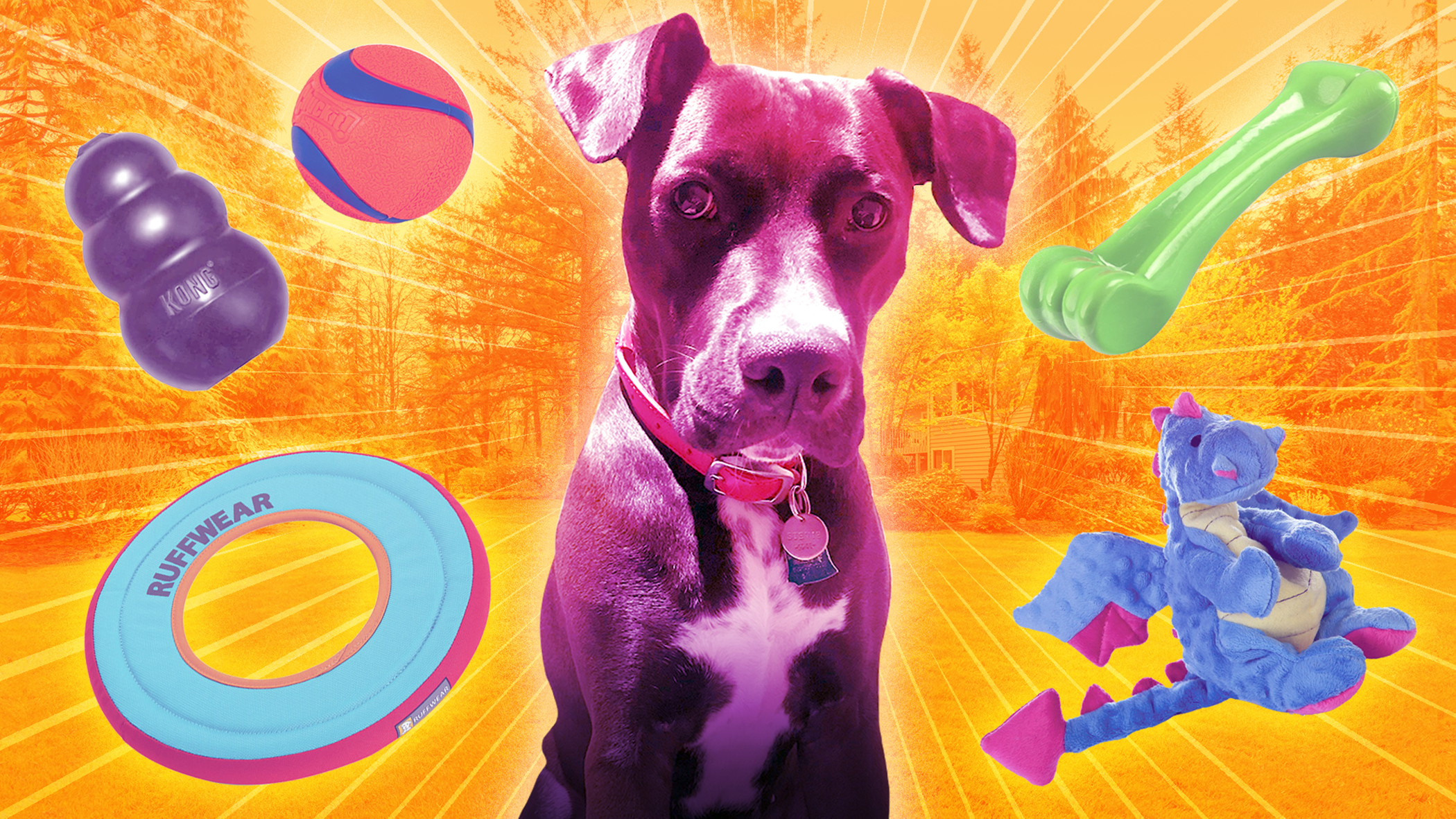 The best chew toys, as reviewed by my dog