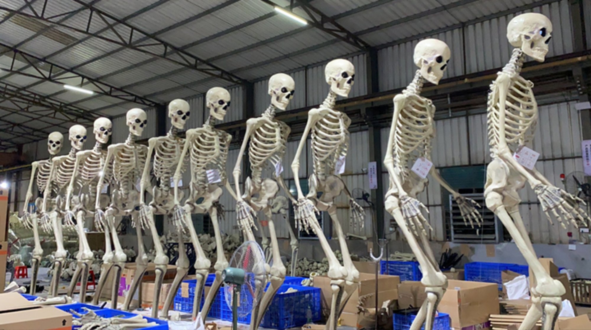 a line of home depot skeletons in a factory