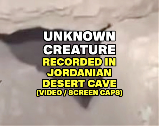 UNKNOWN CREATURE Recorded in Jordanian Desert Cave (VIDEO / SCREEN CAPS)