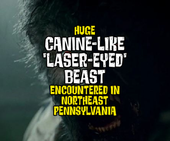 Huge CANINE-LIKE ‘LASER-EYED’ BEAST Encountered in Northeast Pennsylvania