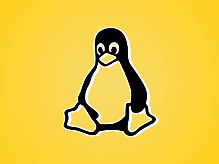 Linux 6.0 releases stable branch supporting latest architecture