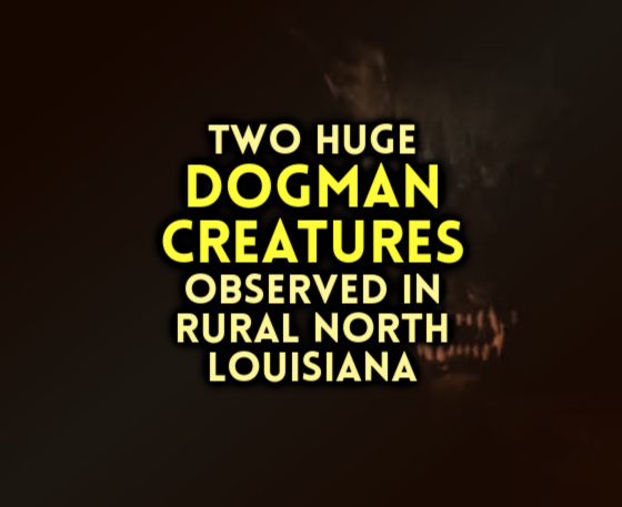 TWO HUGE DOGMAN CREATURES Observed in Rural North Louisiana