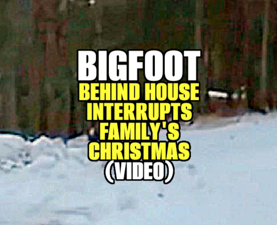 BIGFOOT BEHIND HOUSE Interrupts Minnesota Family’s Christmas (VIDEO)