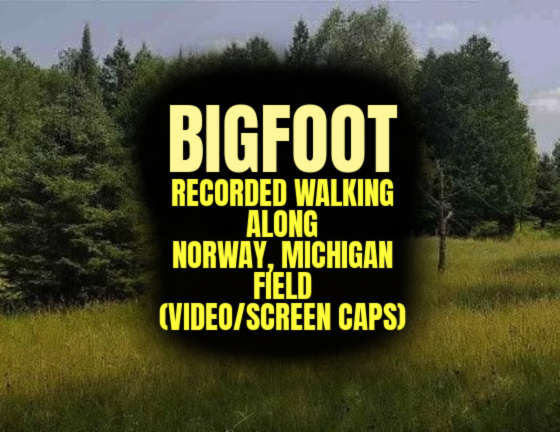 BIGFOOT Recorded Walking Along Norway, Michigan Field (VIDEO/SCREEN CAPS)