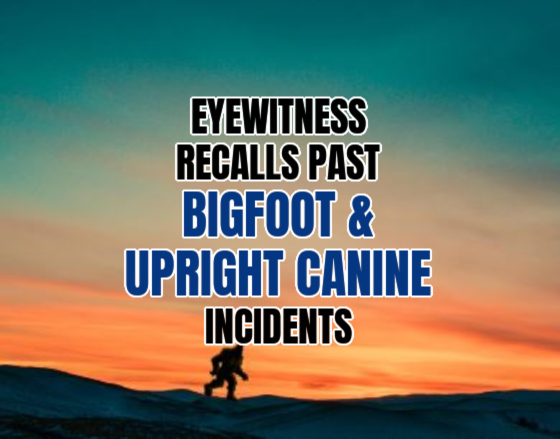 Witness Recalls Past BIGFOOT & UPRIGHT CANINE Incidents