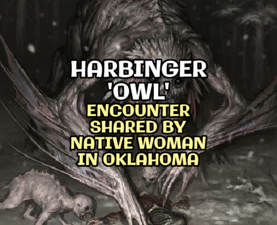 HARBINGER ‘OWL’ Encounter Shared by Native Woman in Oklahoma