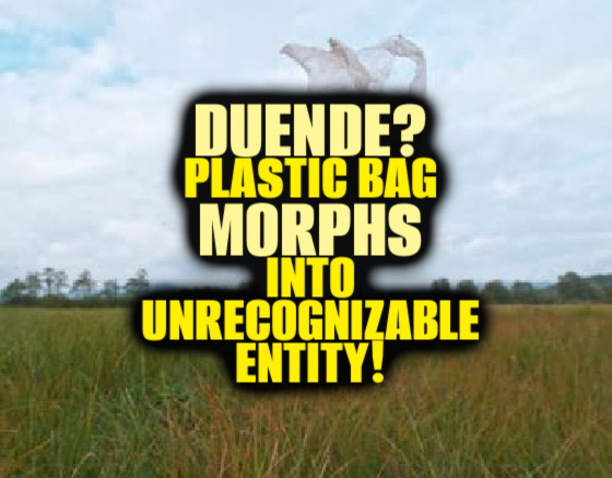 DUENDE? Plastic Bag MORPHS Into Unrecognizable Entity!