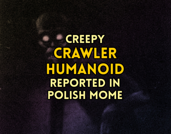Creepy CRAWLER HUMANOID Reported in Polish Home