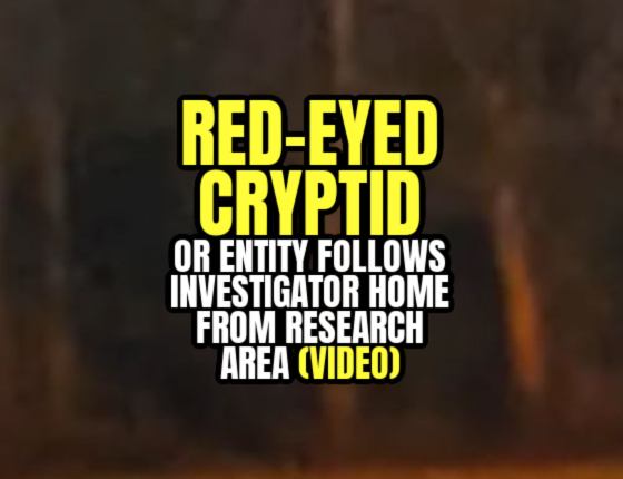 RED-EYED CRYPTID or Entity Follows Investigator Home From Research Area (VIDEO)
