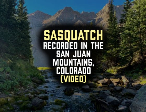 SASQUATCH RECORDED in the San Juan Mountains, Colorado (VIDEO)