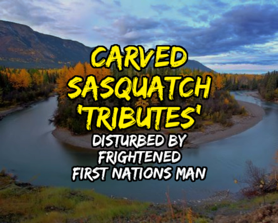 CARVED SASQUATCH ‘TRIBUTES’ Disturbed by Frightened First Nations Man