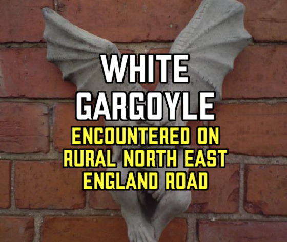‘WHITE GARGOYLE’ Encountered on Rural North East England Road