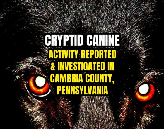 CRYPTID CANINE Activity Reported & Investigated in Cambria County, PA