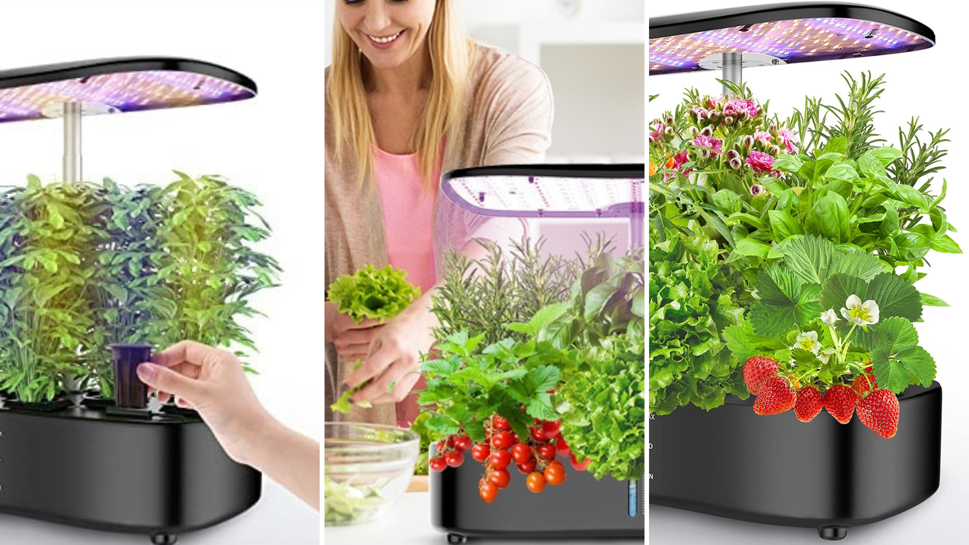 Grow Your Own Herbs This Winter with This Early Amazon Black Friday Deal