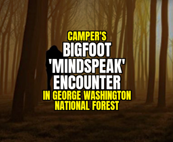 Camper’s BIGFOOT ‘MINDSPEAK’ ENCOUNTER in George Washington National Forest