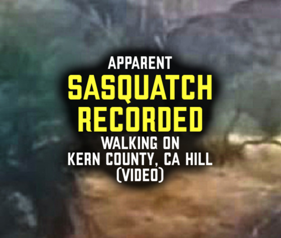 Apparent SASQUATCH RECORDED Walking on Kern County, California Hill (VIDEO)