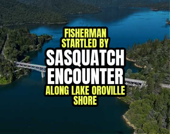 Fisherman Startled By SASQUATCH ENCOUNTER Along Lake Oroville, California Shore