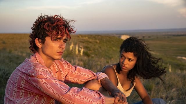 Young lovers Lee (Timothée Chalamet) and Maren (Taylor Russell) sit in a sunny field together, each frowning into space, in Bones and All