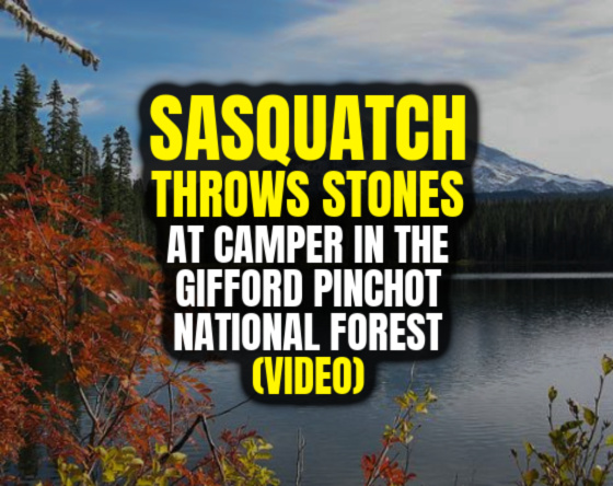 SASQUATCH THROWS STONES at Camper in the Gifford Pinchot National Forest (VIDEO)