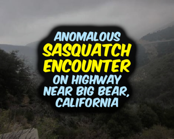 Anomalous SASQUATCH ENCOUNTER on Highway Near Big Bear, California