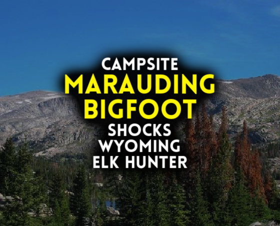 Campsite MARAUDING BIGFOOT Shocks Wyoming Elk Hunter