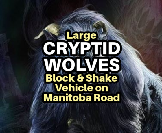 Large CRYPTID WOLVES Block & Shake Vehicle on Manitoba Road