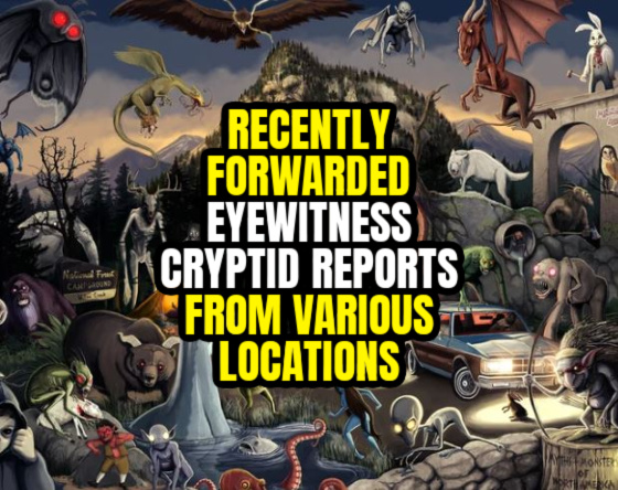 Recently Forwarded EYEWITNESS CRYPTID REPORTS From Various Locations