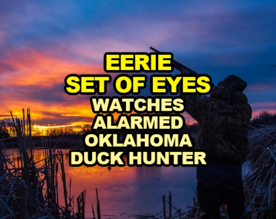 EERIE SET OF EYES Watches Alarmed Oklahoma Duck Hunter