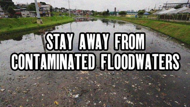 Contaminated Floodwaters | Extreme Earth