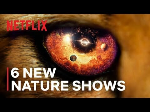 Netflix teases 6 epic nature documentary series in new trailer