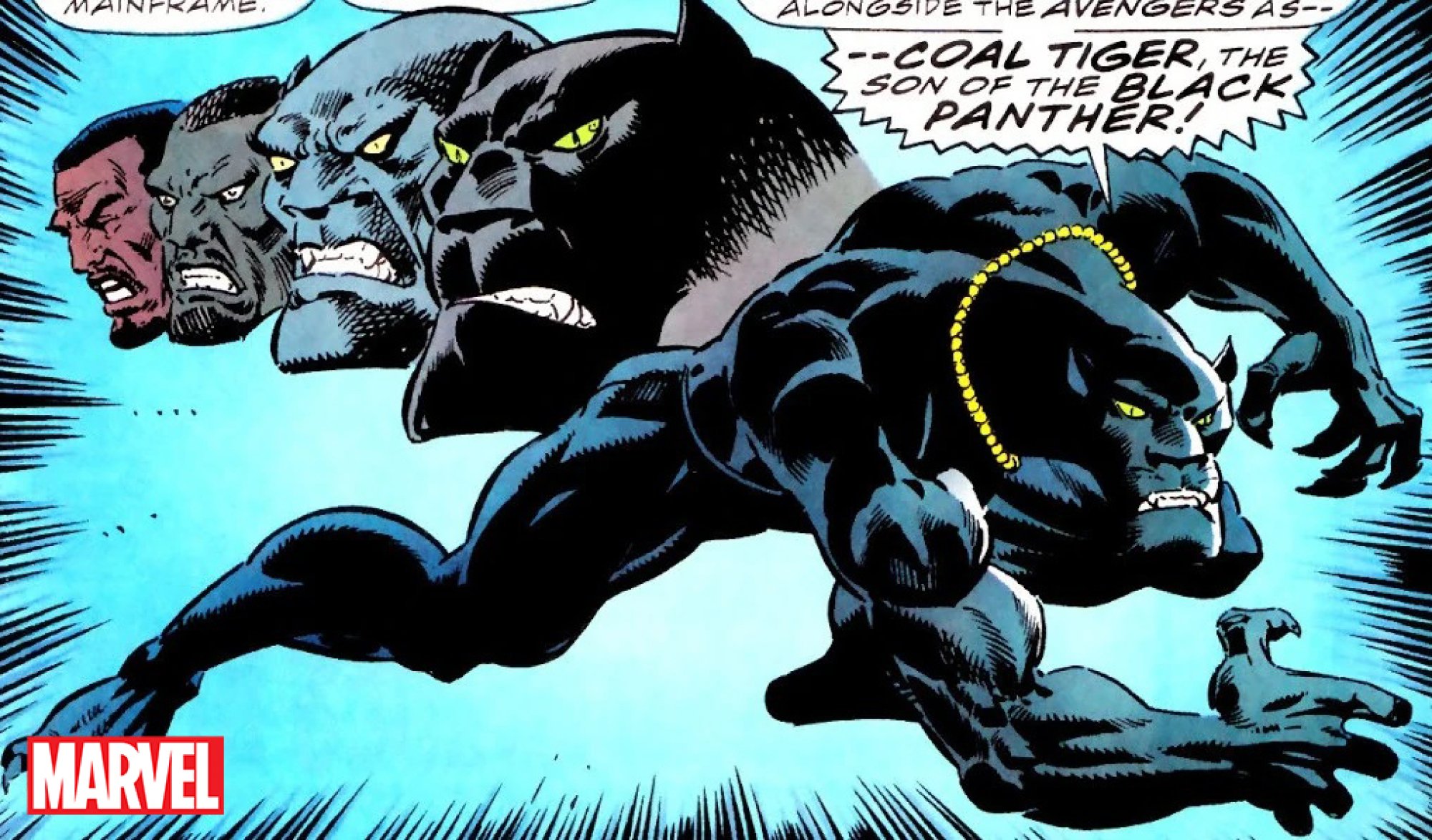 A Marvel comic panel showing T'Chaka.