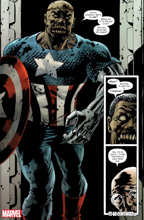 A Marvel comic panel showing T'Channa.