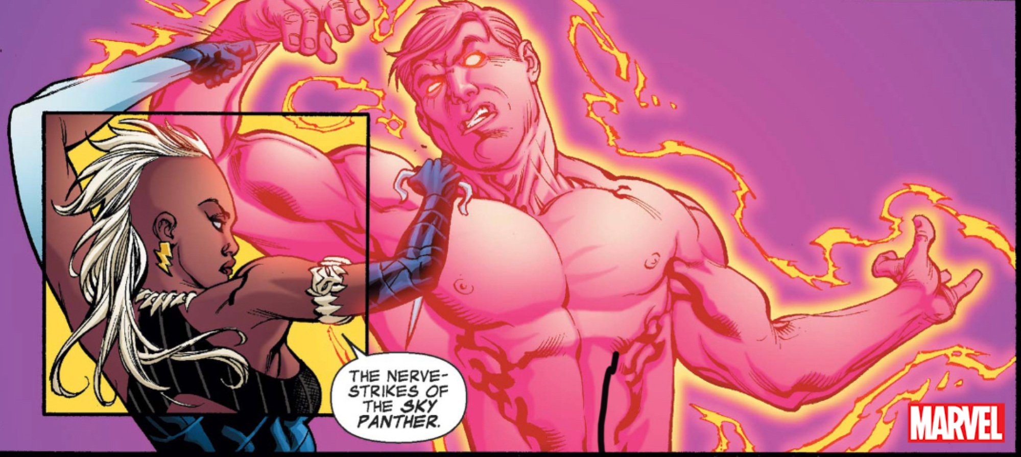 A Marvel comic panel showing Sky Panther.