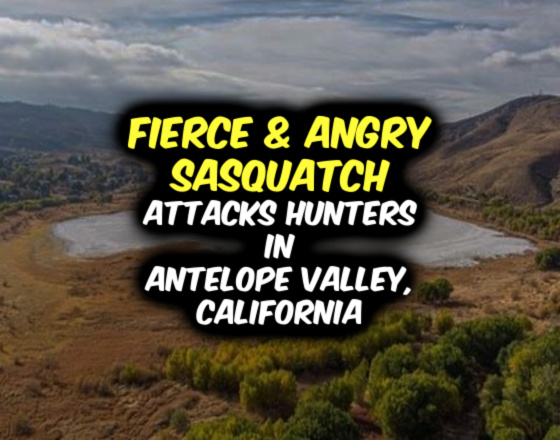 FIERCE & ANGRY SASQUATCH Attacks Hunters in Antelope Valley, California